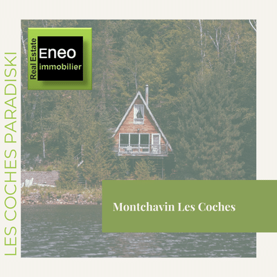 Eneo immobilier Monchavin les coches