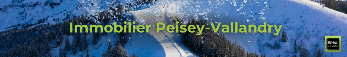 immobilier peisey vallandry